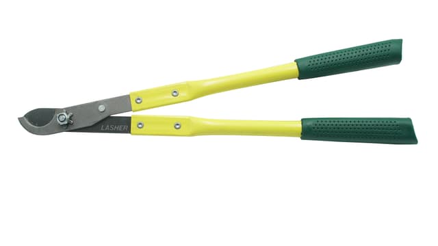 Lasher Shear Lopping Bypass
