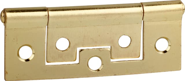 FAST Ironmongery Flush Hinge Brass Plated 100mm (2)
